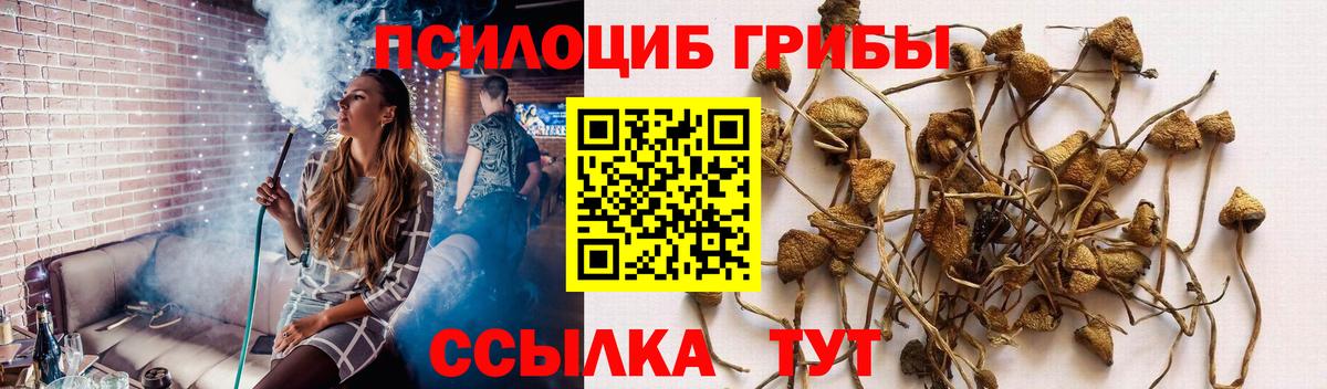 Галлюциногенные грибы ЛСД  Вход с VPN  Новоуральск 